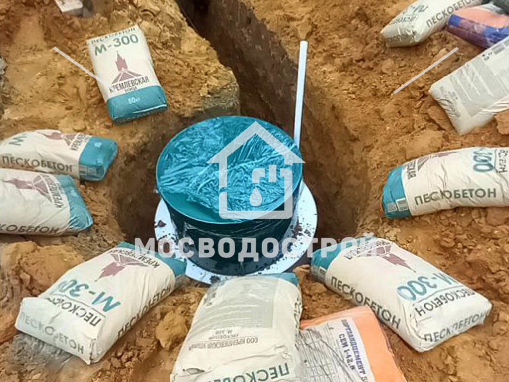 Photo 2022 11 14 03 45 42 копия3