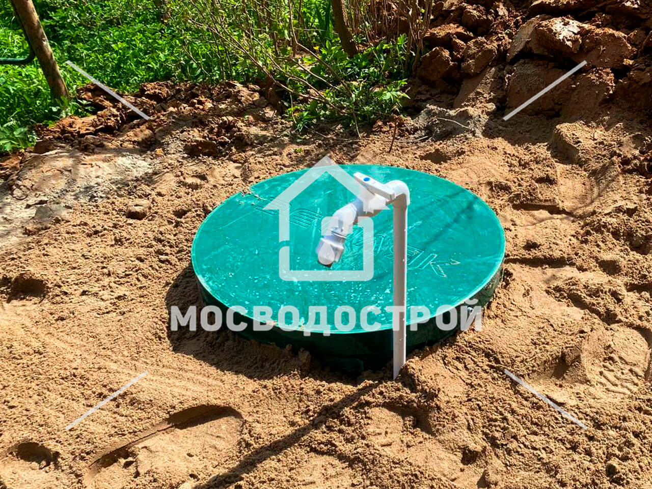 Photo 2023 05 17 06 20 06 копия