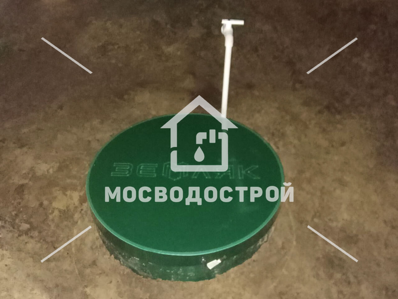 Photo 2023 05 31 04 00 21 копия