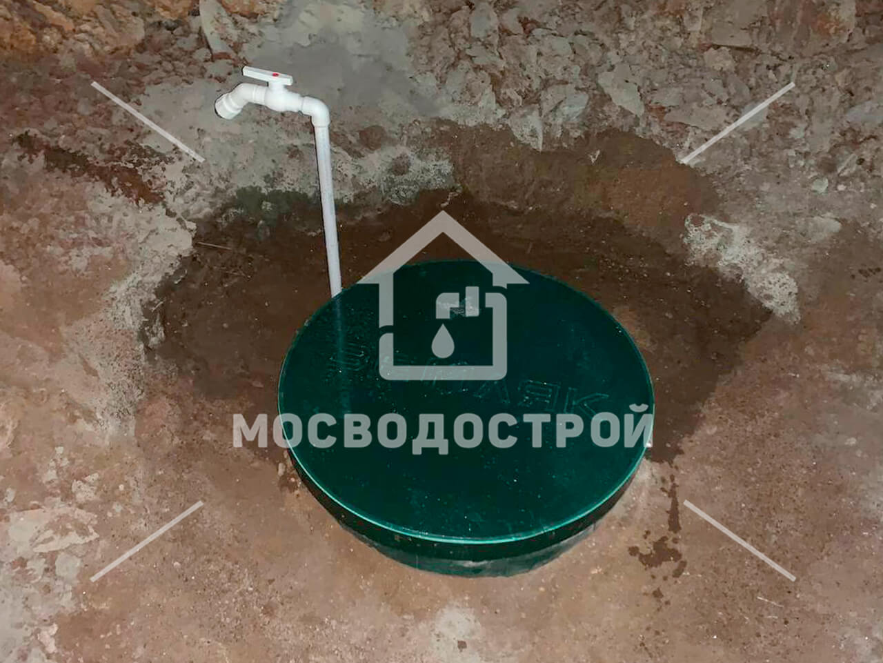 Photo 2024 02 08 02 29 54 к