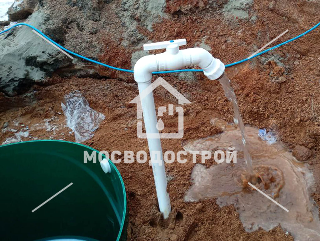 Photo 2024 03 05 16 02 03 к3
