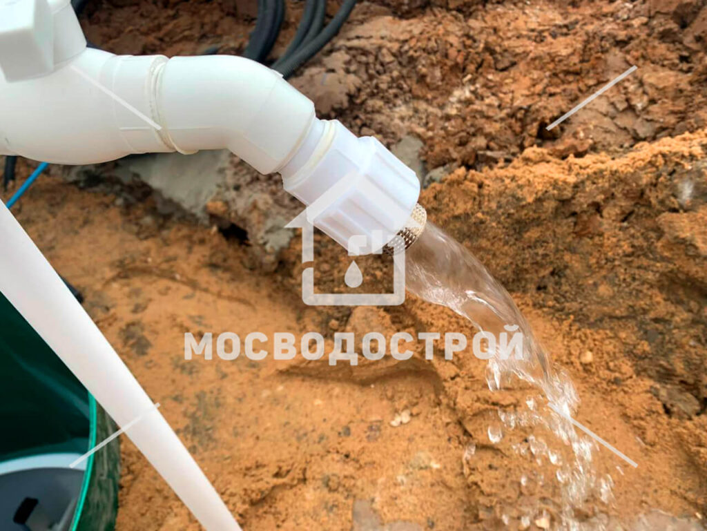 Photo 2024 03 05 16 25 09 к3